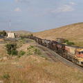 DH355 at Oued Metlili.