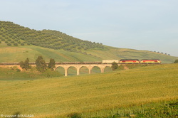 DF104 near Arbaoua.