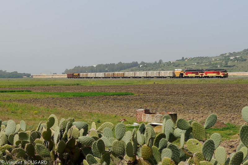 Les DF110 et DF114 près de Gouaret Meharza.