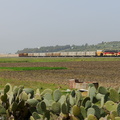 Les DF110 et DF114 près de Gouaret Meharza.