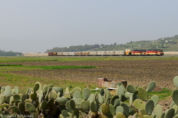 DF110 and DF114 near Gouaret Meharza.