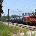 1902 near Vale Do Guiso.