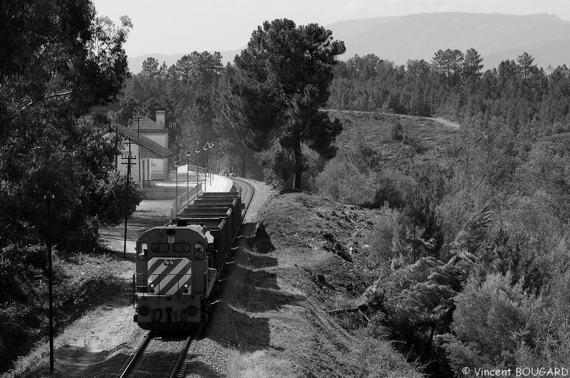 1556 near Fatela Penamacor.