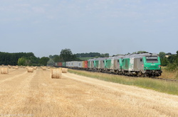 BB75005, BB75067, BB75435 and BB75402 near Seuillet.